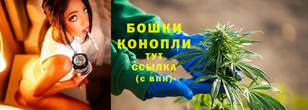 прущая мука Дмитриев