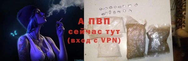 гидра Дмитровск