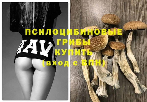 гидра Дмитровск