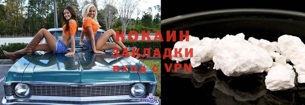 прущая мука Дмитриев