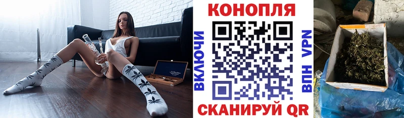 Канабис сатива  Купить где  Вилюйск 